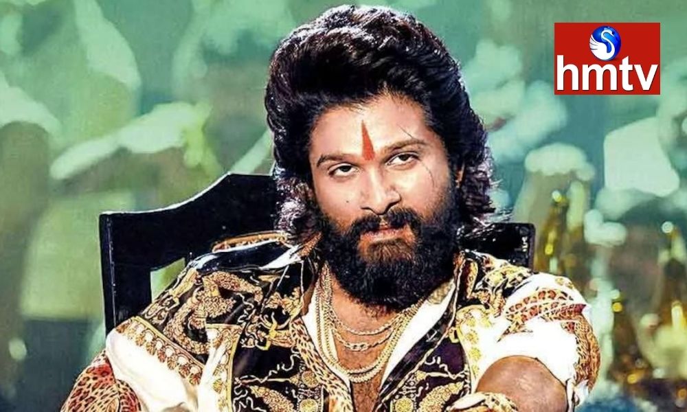 Allu Arjun Film Pushpa Hindi Version Collection 